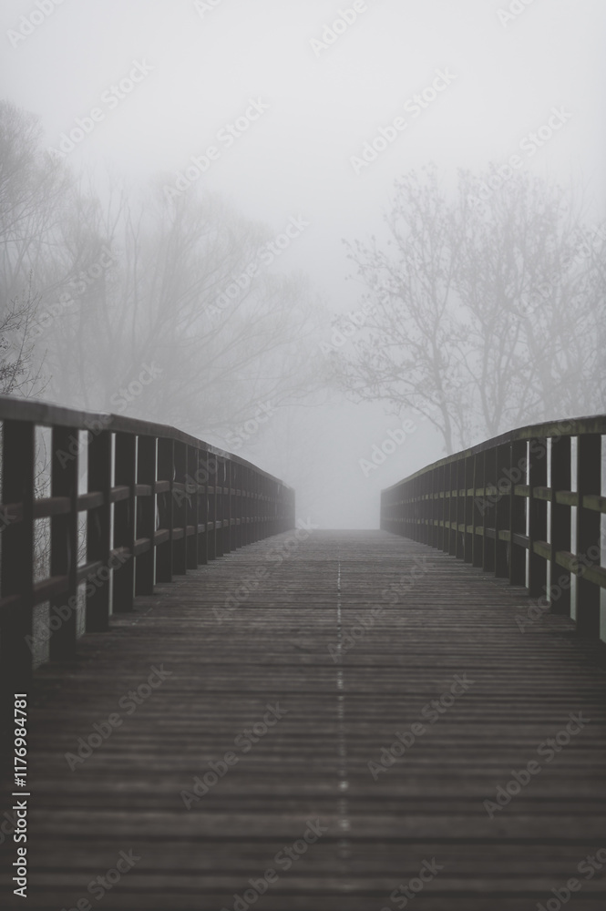 Obraz premium brücke im nebel