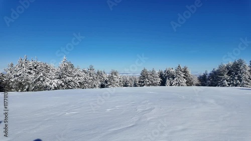 Amazing Winter landscape of Vitosha Mountain, Sofia City Region, Bulgaria photo