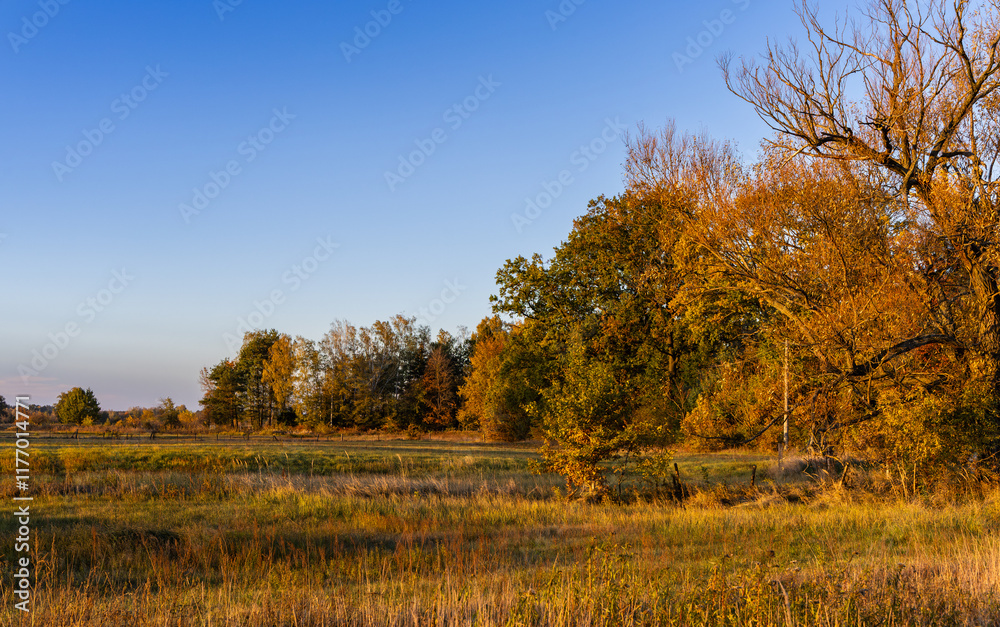 Autumn, meadows by the small Rządza river at the setting sun, Ruda village, Masovia, Poland Autumn, meadows by the small Rządza river at the setting sun, Ruda village, Masovia, Poland