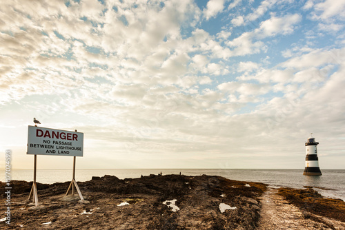 Seagull sitting on danger sign at Penmon Point lighthouse, North Wales photo