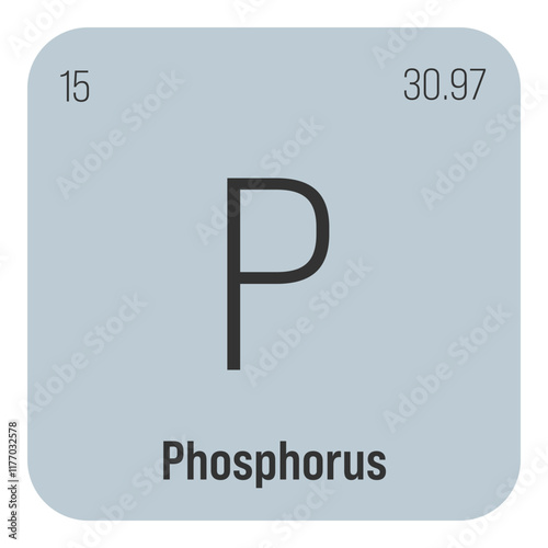 Phosphorus, P, periodic table element with name, symbol, atomic number and weight. Non-metal with various industrial uses, such as in fertilizer, detergents, and as a component of certain types of