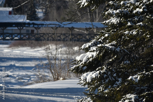 Parc Appalaches 24 Décembre Au 2 Janvier 2025 - 300 Mm  photo