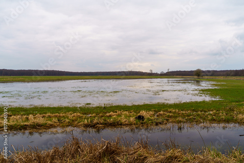 Flooded Grassy Field with Reflections Under Overcast Sky in Rural Germany