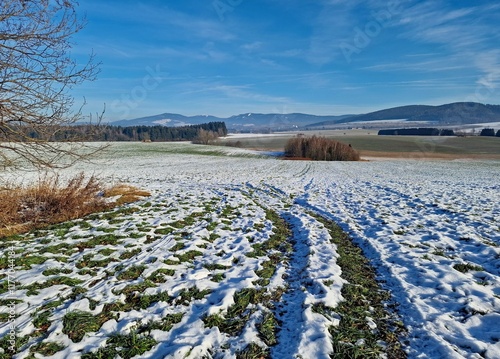 Fotografija Winter landscape with snow. The spring thaw is slowly starting.