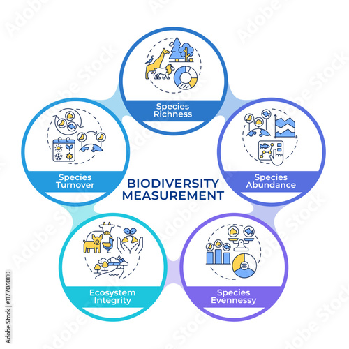 Biodiversity measurement infographic circles flowchart. Species richness, abundance, evenness. Data visualization with 5 steps. Circular info graphic editable. Montserrat SemiBold font used