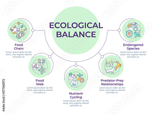Ecological balance circular diagram infographic. Food chain. Predator and prey relationships. Data visualization with 5 options. Hierarchy chart round. Montserrat SemiBold, Lato Regular fonts used