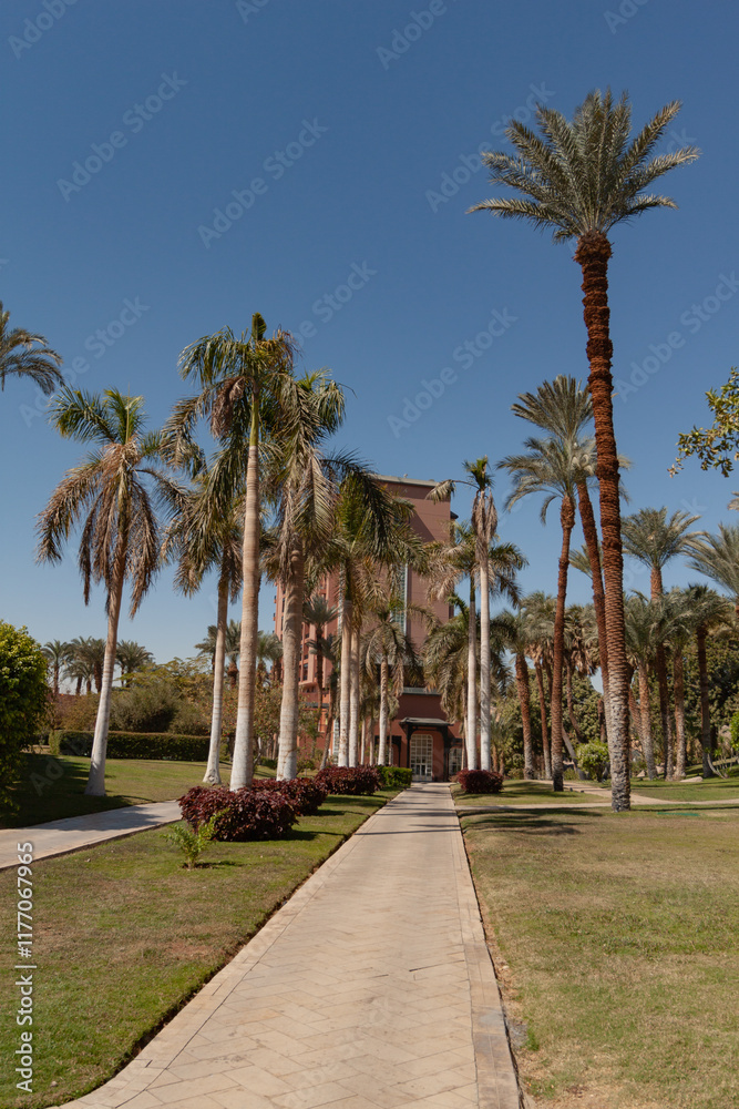 Fototapeta premium holidays in Egypt