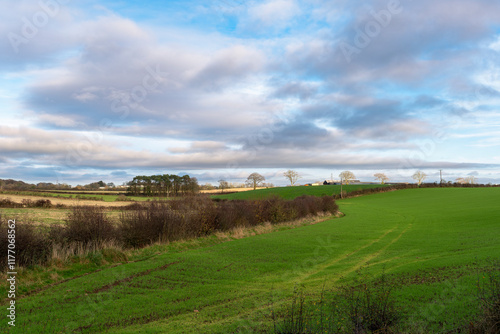 The trees and hedge rows of Perceton Mains one of Scotlands oldest historical settlements photo