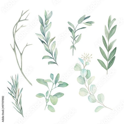 Wallpaper Mural Watercolor botanical collection with eucalyptus and herbal branches. Hand drawn  isolated illustrations on white background Torontodigital.ca