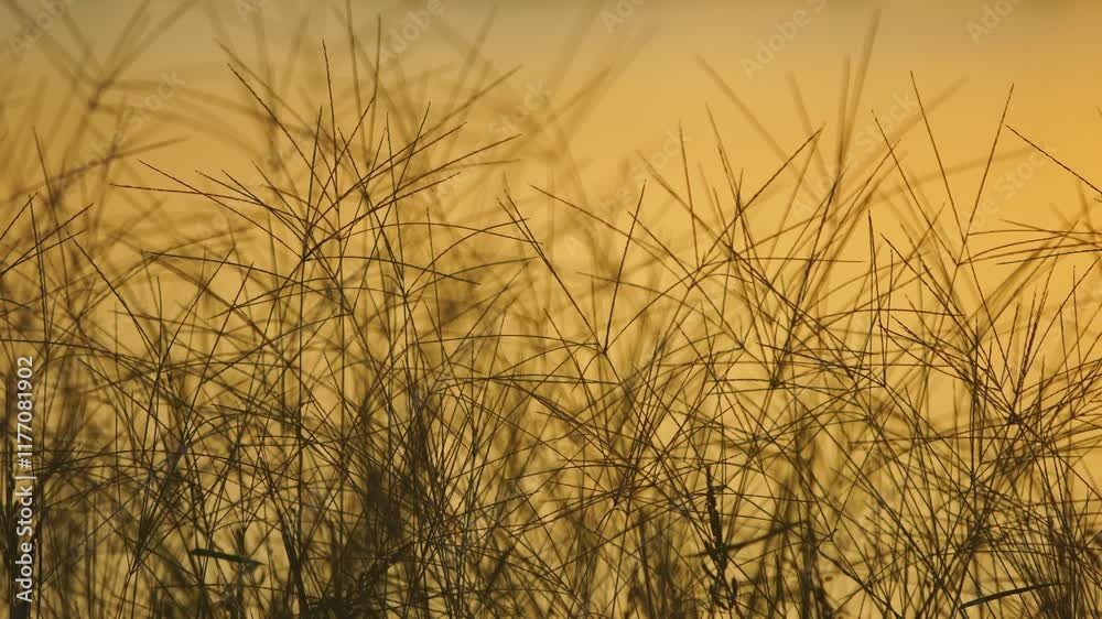 Nature’s Silhouettes at Dusk with Soft Yellow Background Glow Nature’s Silhouettes at Dusk with Soft Yellow Background Glow