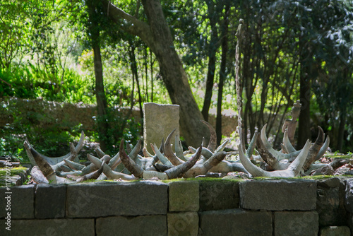 Malagasy tomb with zebu horns at the top