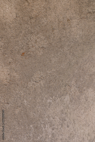Stunning textured concrete surface revealing intricate natural patterns at midday light