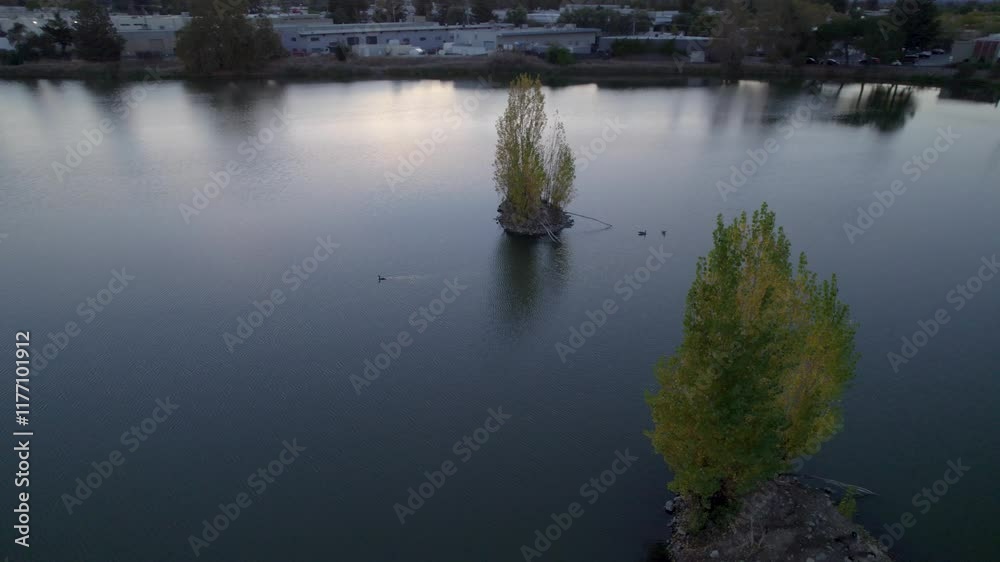 Drone footage flying by trees and water at a park in california