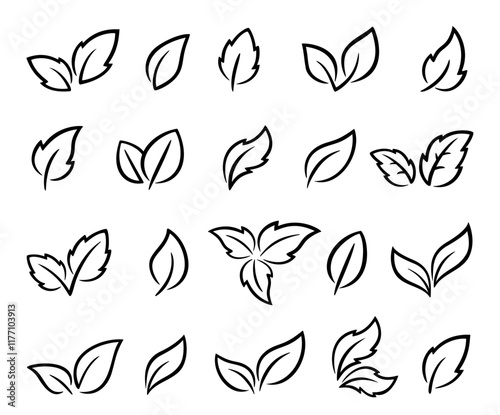 Hand drawn black linear leaves set