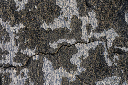 Intricate patterns on weathered concrete surface reveal nature's artistry over time photo