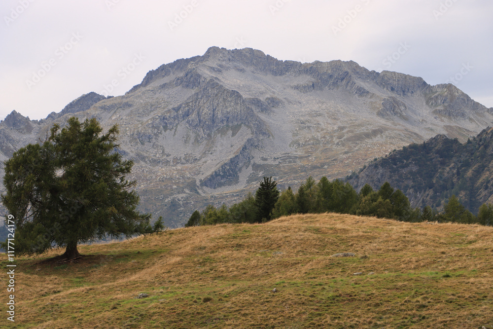 Wanderparadies Val Masino (Bernina-Alpen); Blick von der Alpe Grande zum Monte Spluga (2845)
