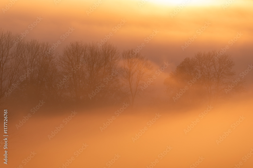 Fototapeta premium Nebelmeer von tiefstehender Sonne angestrahlt. Bei Ochsenwang / Schopfloch auf der Schwäbischen Alb.
