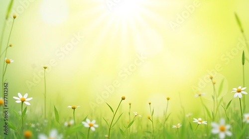 Sunlit Meadow: A Springtime Tapestry of Daisies and Soft Light