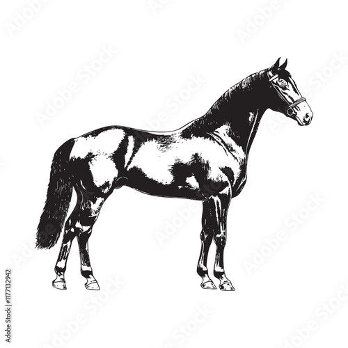 Horse Retriever sketch- isolated vector images of horse animal