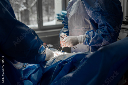 open abdominal surgery, hernia surgery, surgery, patient on the table