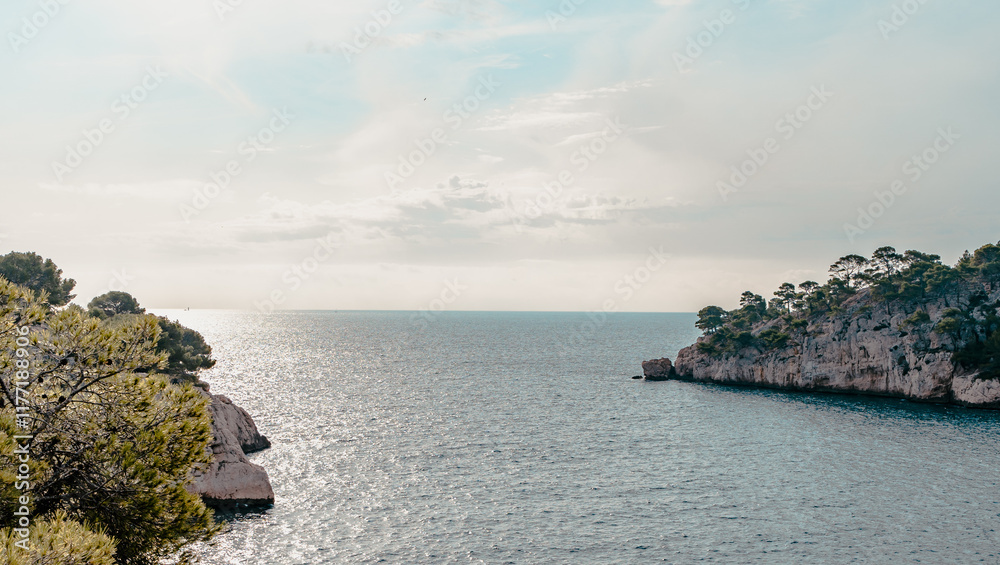 Splendeurs des Calanques : Nature et Mer Méditerranéenne