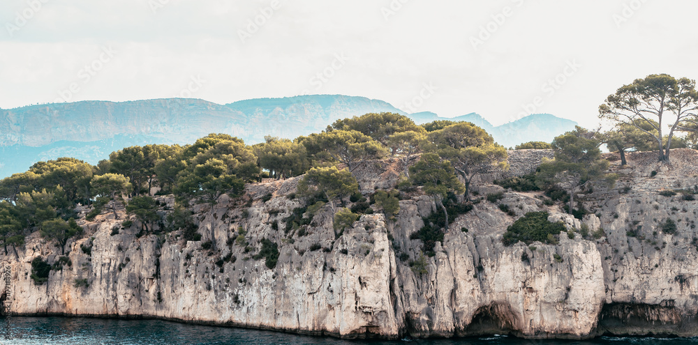 Splendeurs des Calanques : Nature et Mer Méditerranéenne