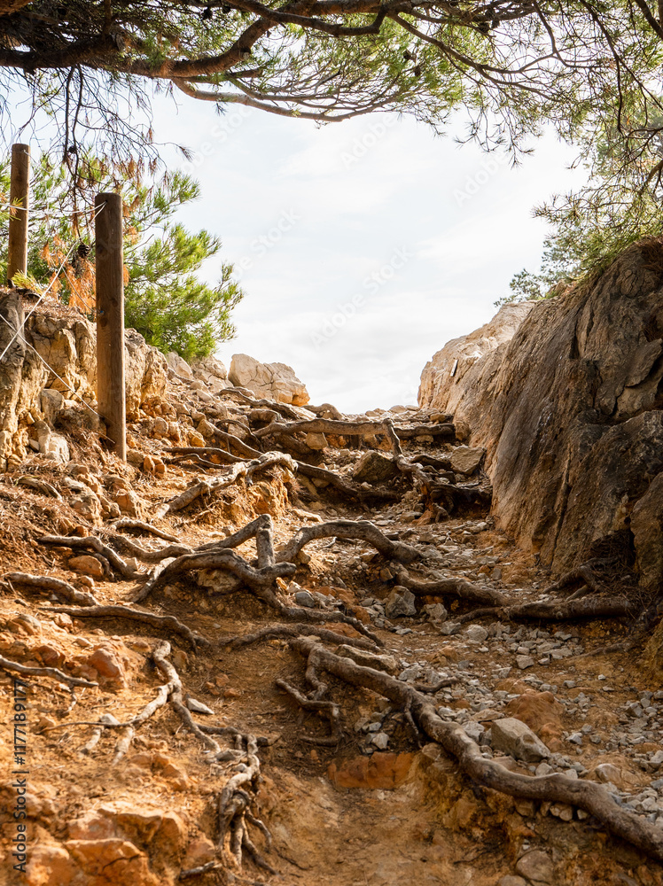 Splendeurs des Calanques : Nature et Mer Méditerranéenne