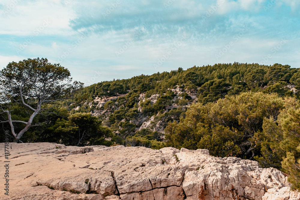 Splendeurs des Calanques : Nature et Mer Méditerranéenne