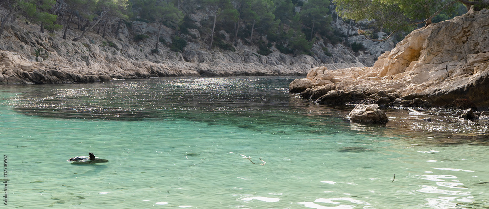 Splendeurs des Calanques : Nature et Mer Méditerranéenne