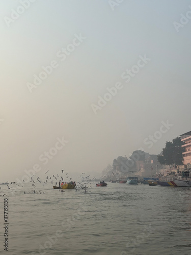 Siberian Birds enhancing Beauty of Varanasi Ghats photo