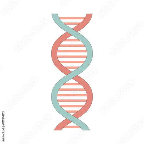 DNA. Deoxyribonucleic acid. Macromolecule. RNA and proteins