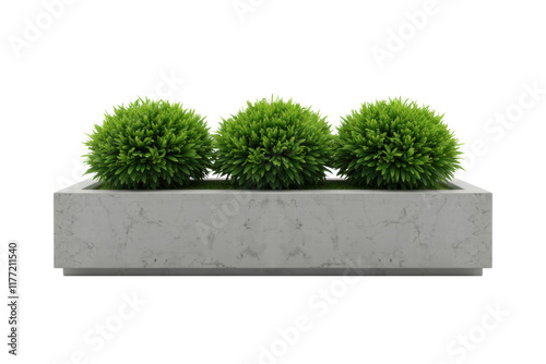 Fresh Green Plant Growing in a Concrete Container, PNG file. Generative AI