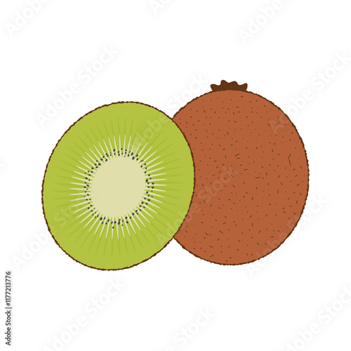 Vector kiwi whole and half cartoon. Tropical fruit