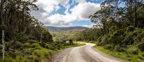 Scenic drive through national park. Winding roads and breathtaking views. Best routes for scenic drives. Explore nature's beauty on a scenic route.
