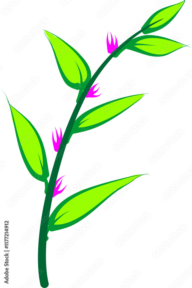 Fototapeta premium flower and leaves