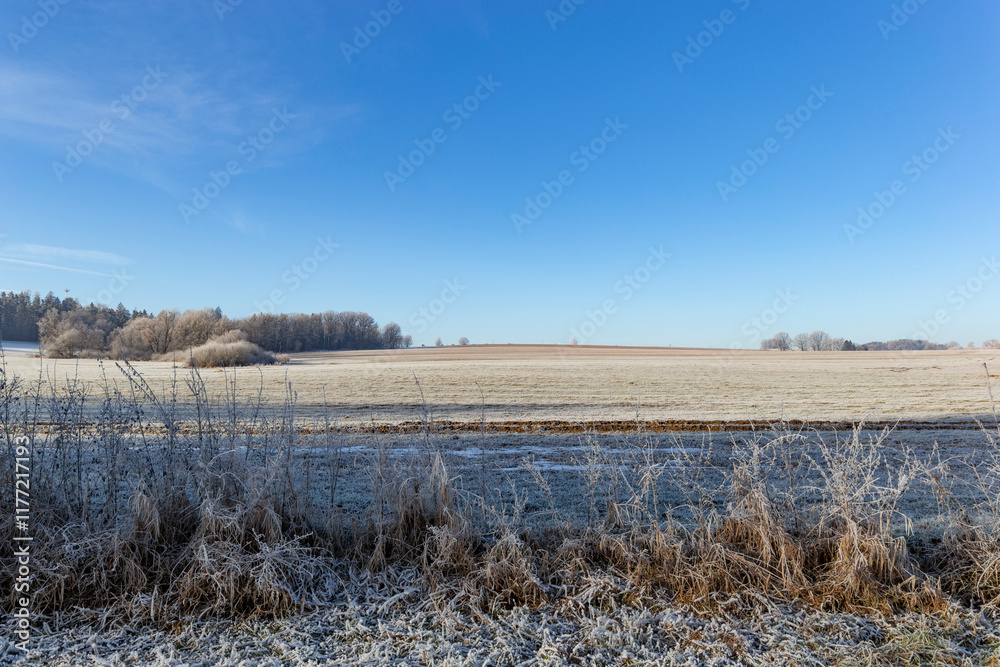 A frosty winter morning in the countryside A frosty winter morning in the countryside