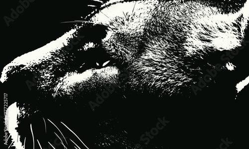 Details of a cat's face, highlighting its fur, eyes, and whiskers,  high-contrast black and white illustration
