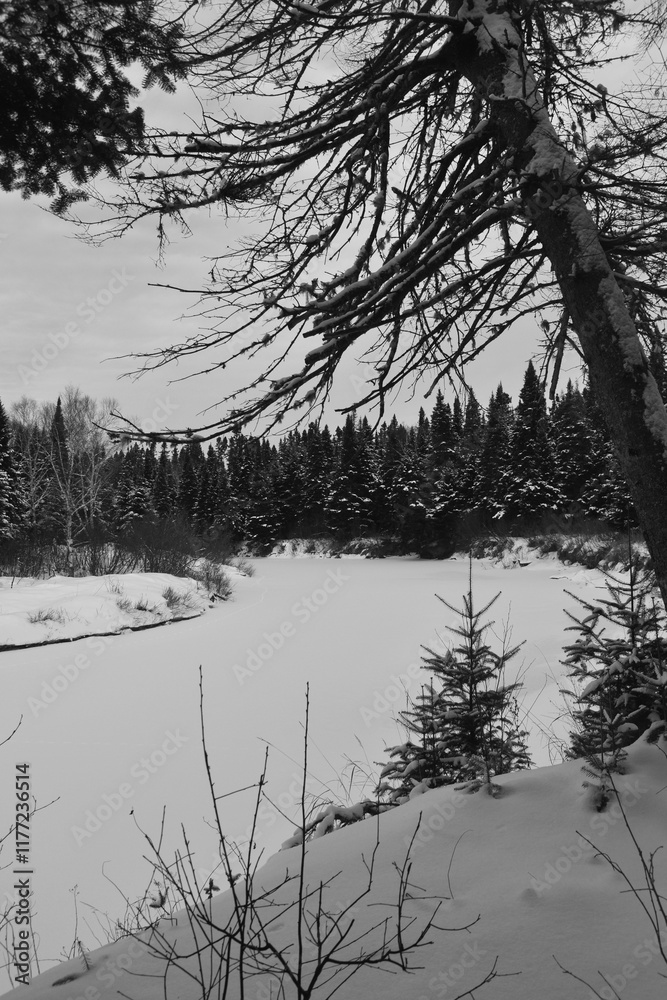 Fototapeta premium Parc Appalaches 24 Décembre Au 2 Janvier 2025 N&B