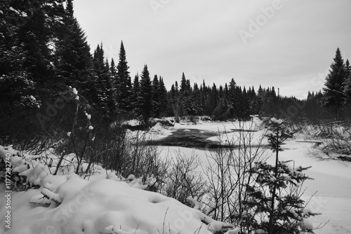 Parc Appalaches 24 Décembre Au 2 Janvier 2025 N&B photo