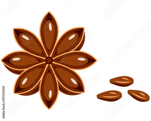 Star anise with seeds isolated on a white background. Spices for cooking. Vector illustration
