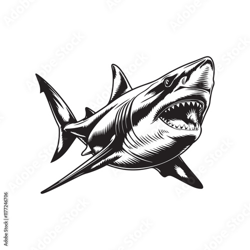 Aggressive Shark Opening Its Mouth Wide vector illustration, A black and white line drawing of a shark  open mouth