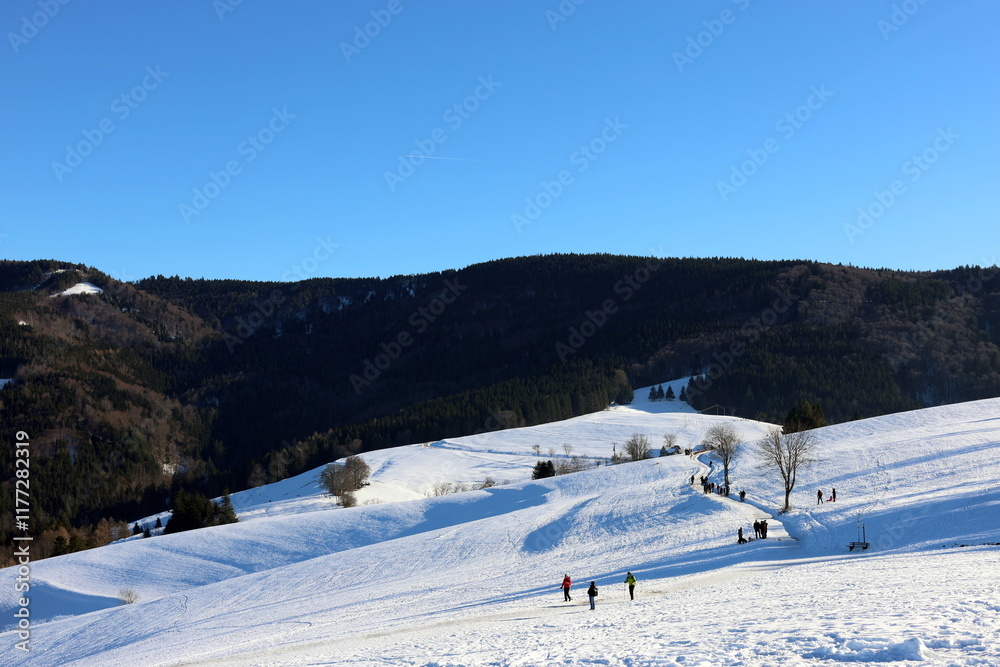 Winterspaziergang auf dem Geiersnest