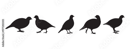 Photography Quail vector silhouette, partridge bird icon vector illustration, quail Silhouet
