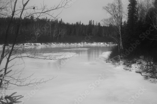 Parc Appalaches 24 Décembre Au 2 Janvier 2025 N&B photo