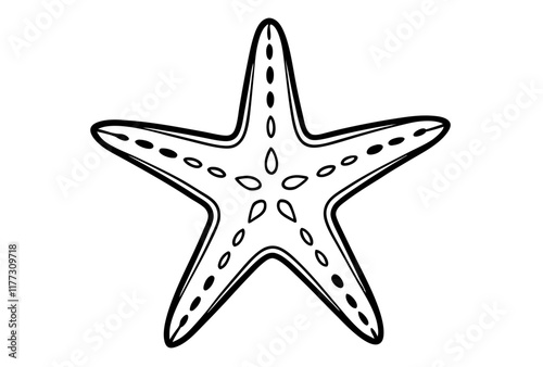 starfish on white background