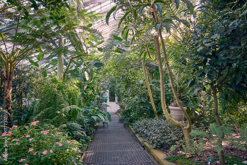 Palmenhaus im Botanischen Garten, Kopenhagen photo