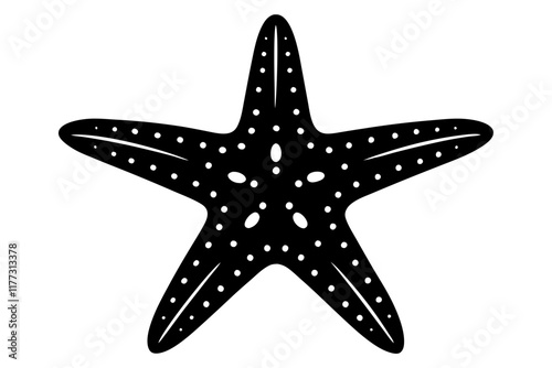 starfish on black background