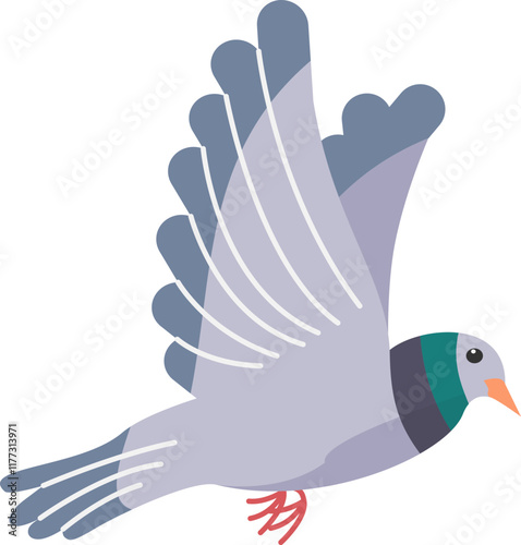 pigeon bird