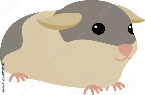 Illustration of a Gray Rat