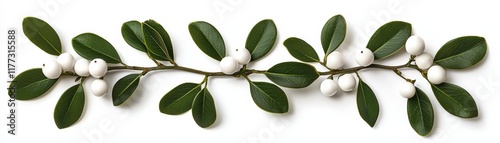 Wallpaper Mural White Berries and Green Leaves Arrangement for Seasonal Decorations and Floral Designs Torontodigital.ca